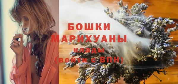 прущие крисы Гусиноозёрск