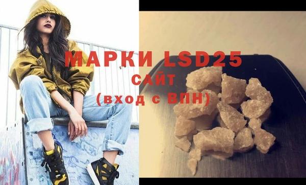 ГАЛЛЮЦИНОГЕННЫЕ ГРИБЫ Горно-Алтайск