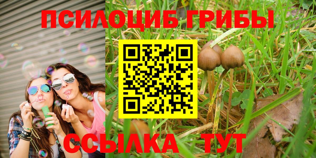 Псилоцибиновые грибы Magic Shrooms Гудермес