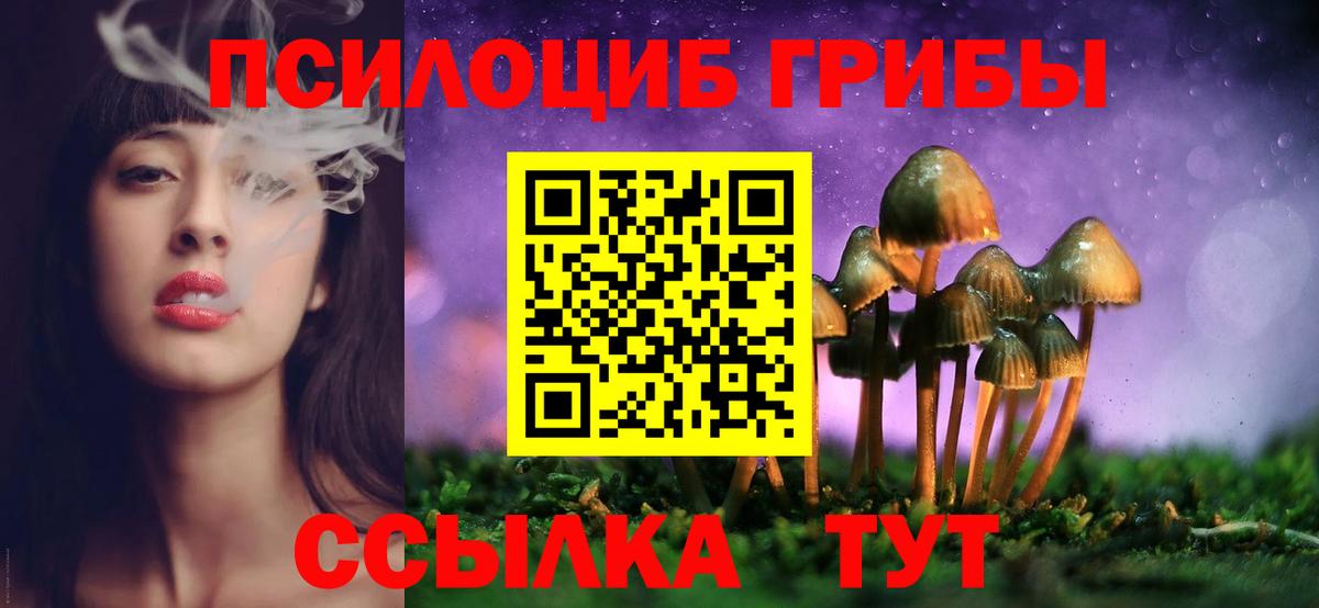 Гудермес  Псилоцибиновые грибы Psilocybe  Вход с VPN  Галлюциногенные грибы прущие грибы 