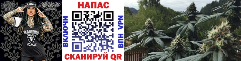 Марихуана SATIVA & INDICA  KRAKEN ССЫЛКА  Гудермес 
